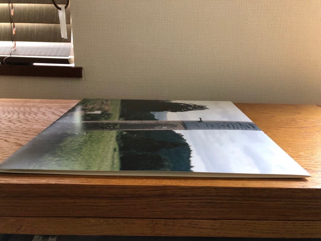 田中ヤコブ⭐︎2nd LP「おおきにどうぞ」レコード　家主