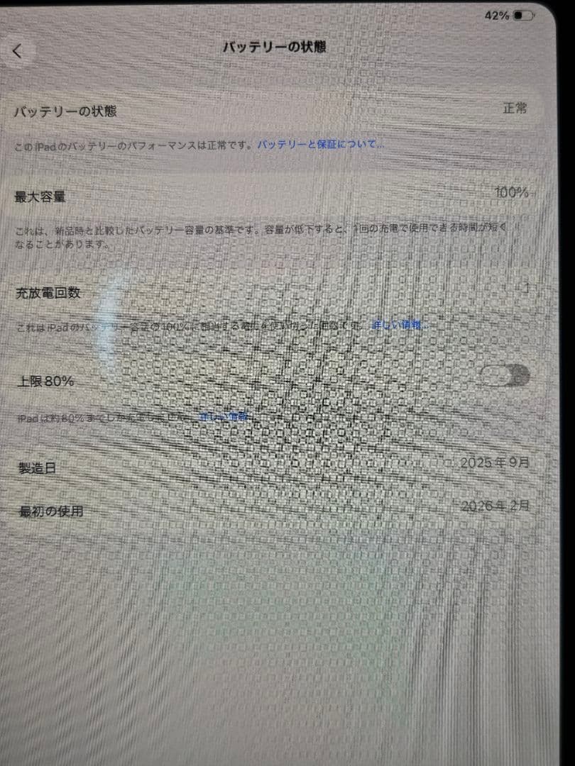 iPad本体 iPad Pro 13-inch (M5) 512GB