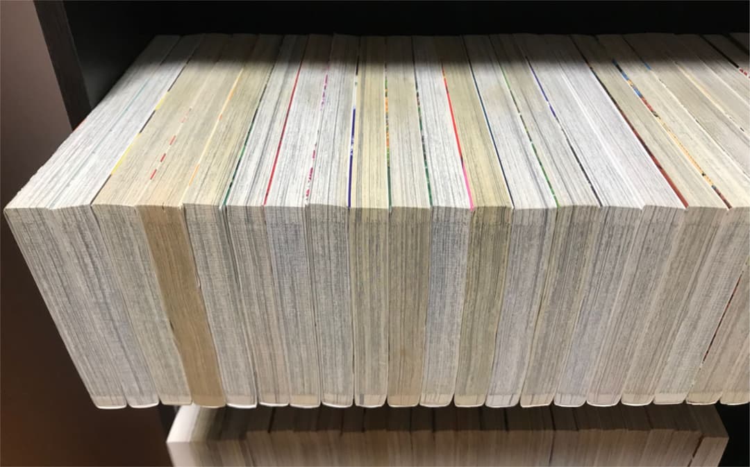 山*田様 金色のガッシュ 全巻初版 33巻　どうぶつの国　ガッシュベル セット