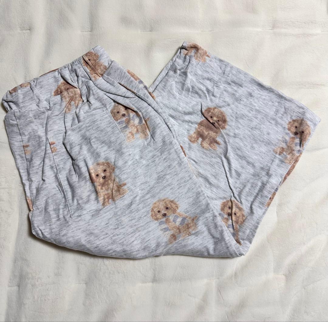 【新品未使用】ジェラートピケ　犬　プードル　半袖ロゴTシャツ　ロングパンツグレー