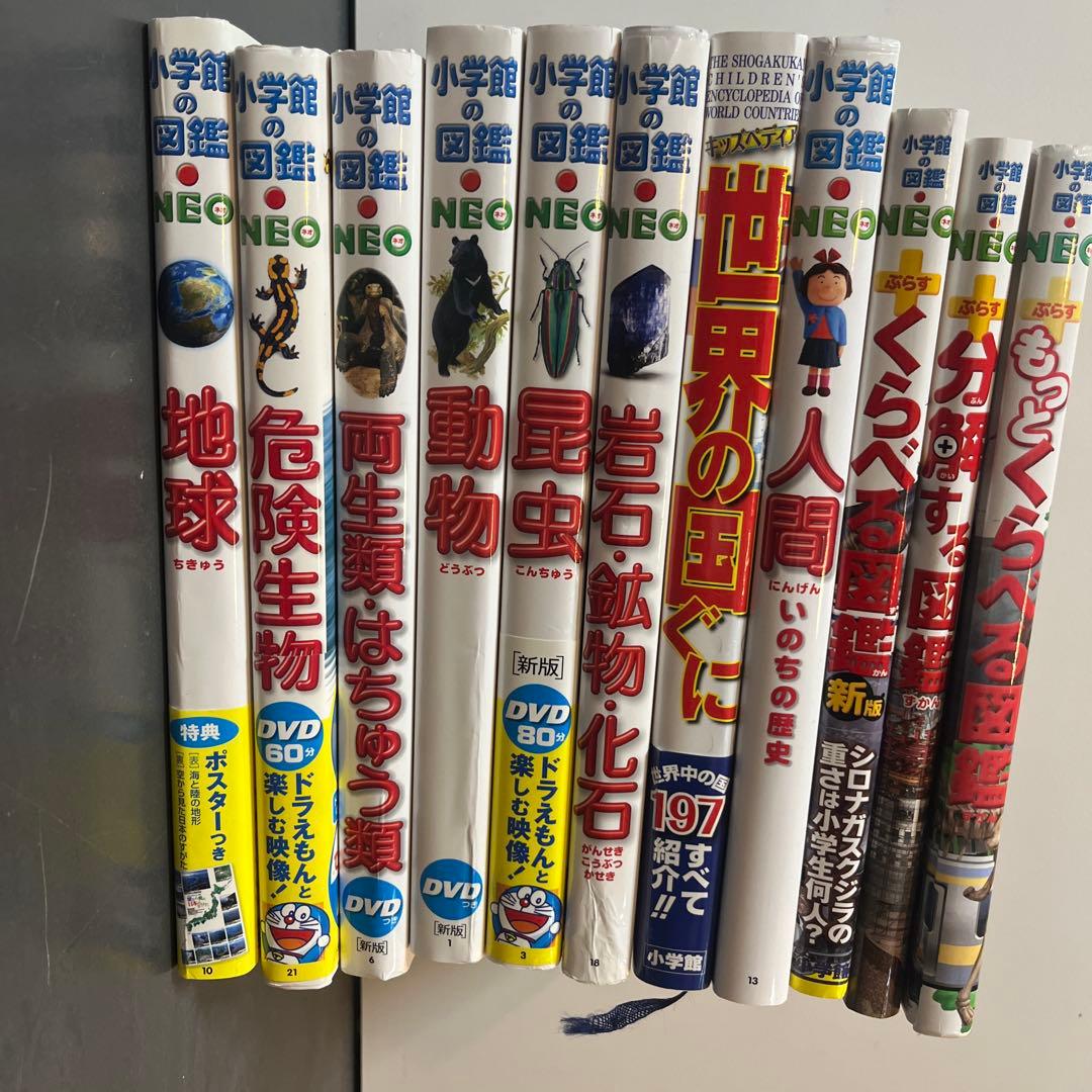 小学館の図鑑 NEO 10冊セット＆世界の国々図鑑