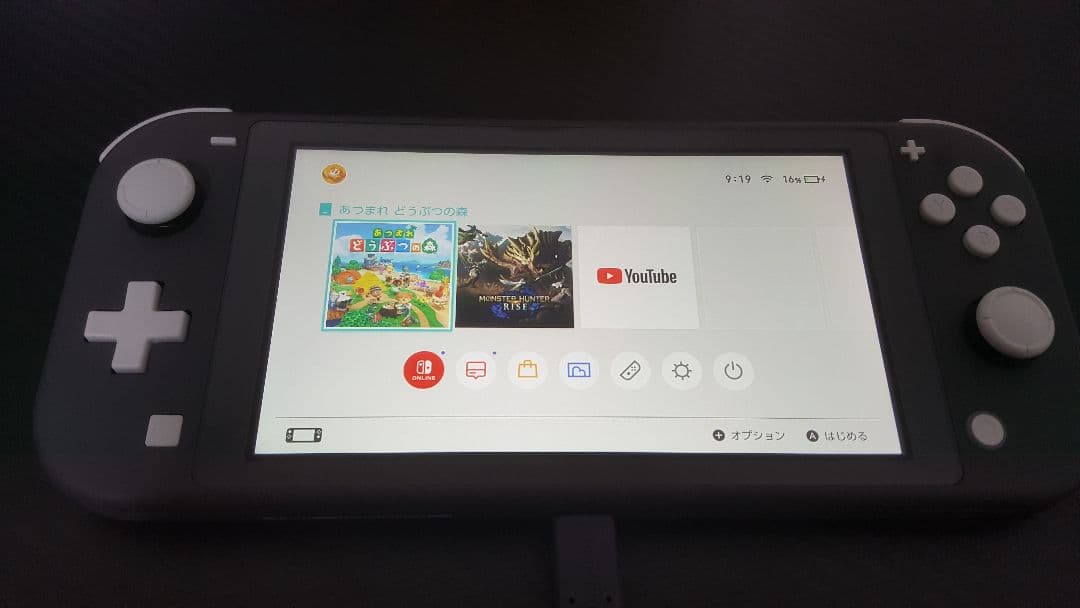 任天堂 スイッチ ライト SWITCH LITE あつまれどうぶつの森 セット