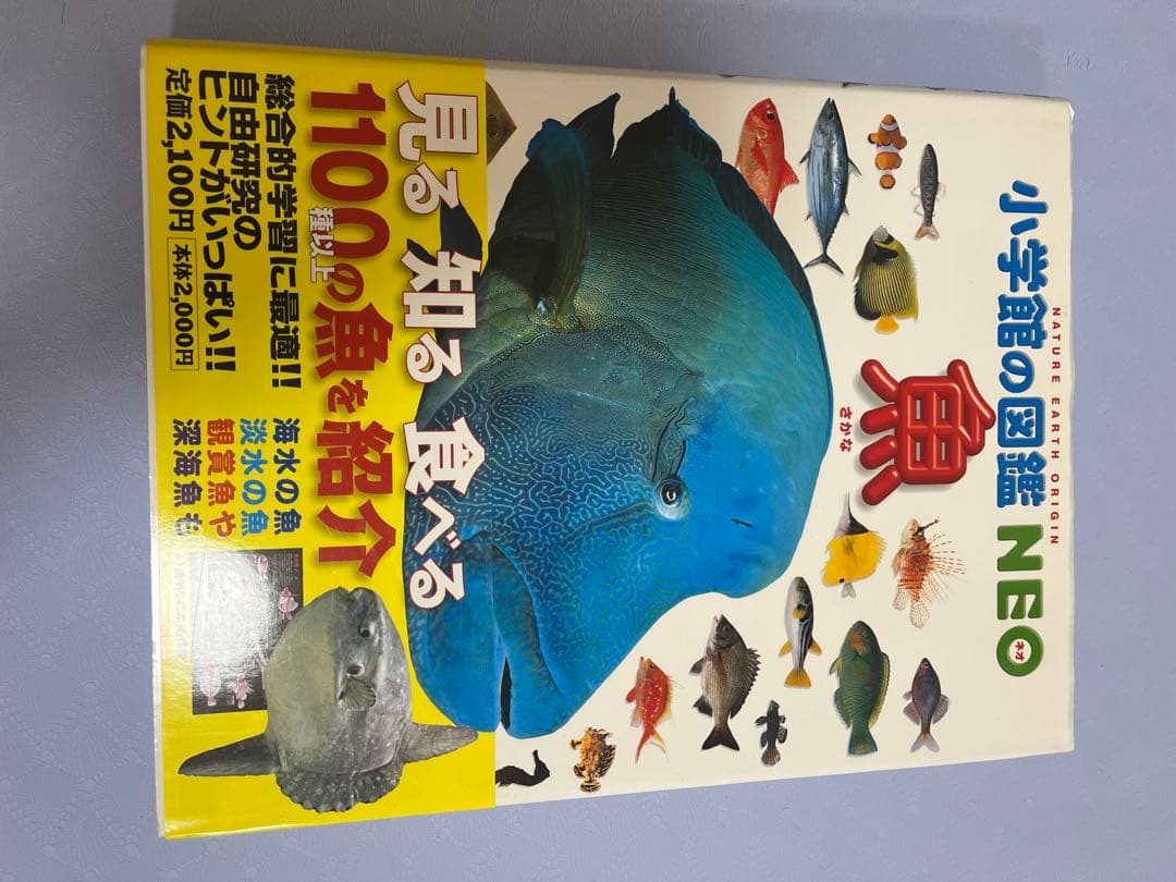 小学生の図鑑NEO ６冊　 人間、魚、宇宙、植物、恐竜、大むかしの生物