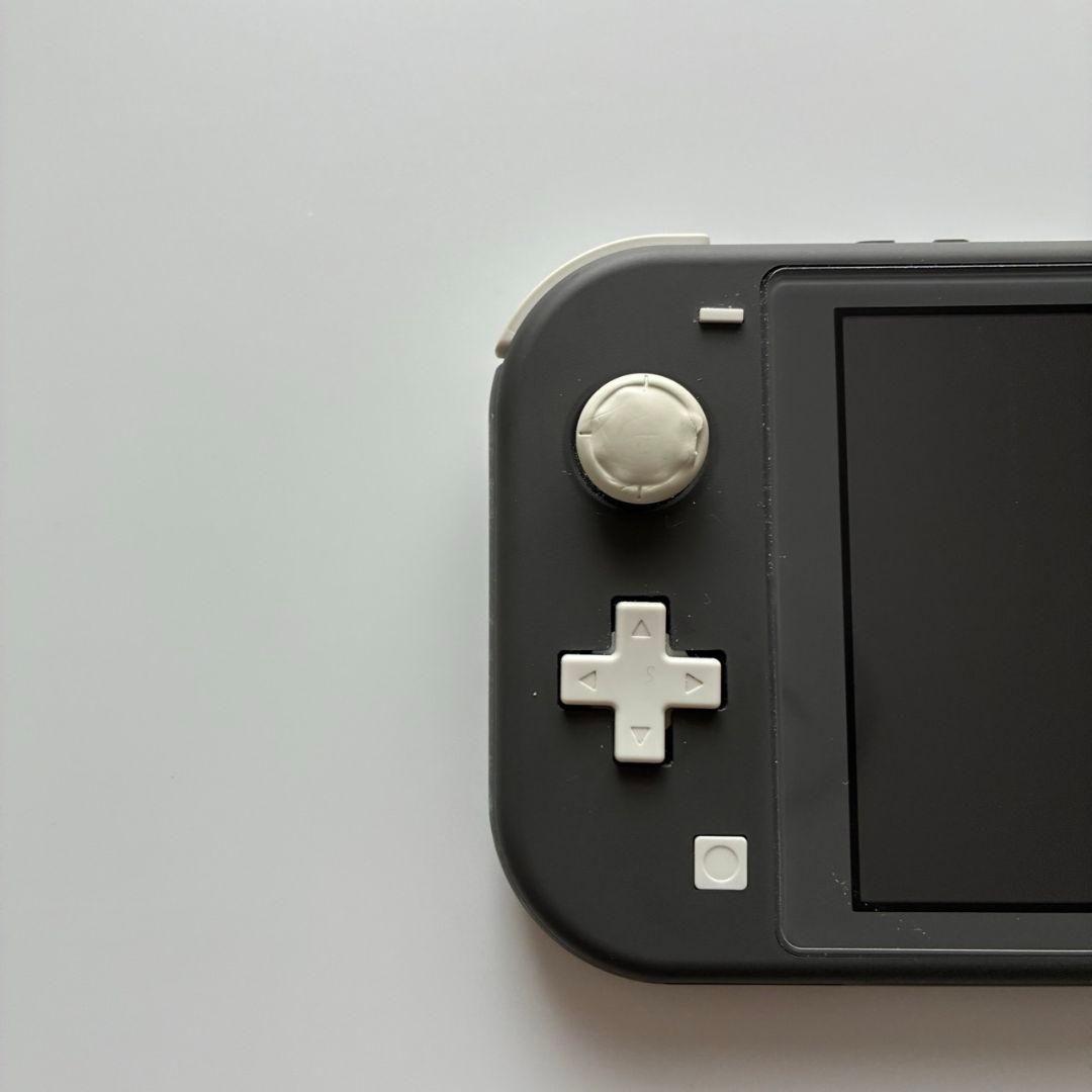 Nintendo Switch Lite 本体 グレー アダプター・保護ケース付