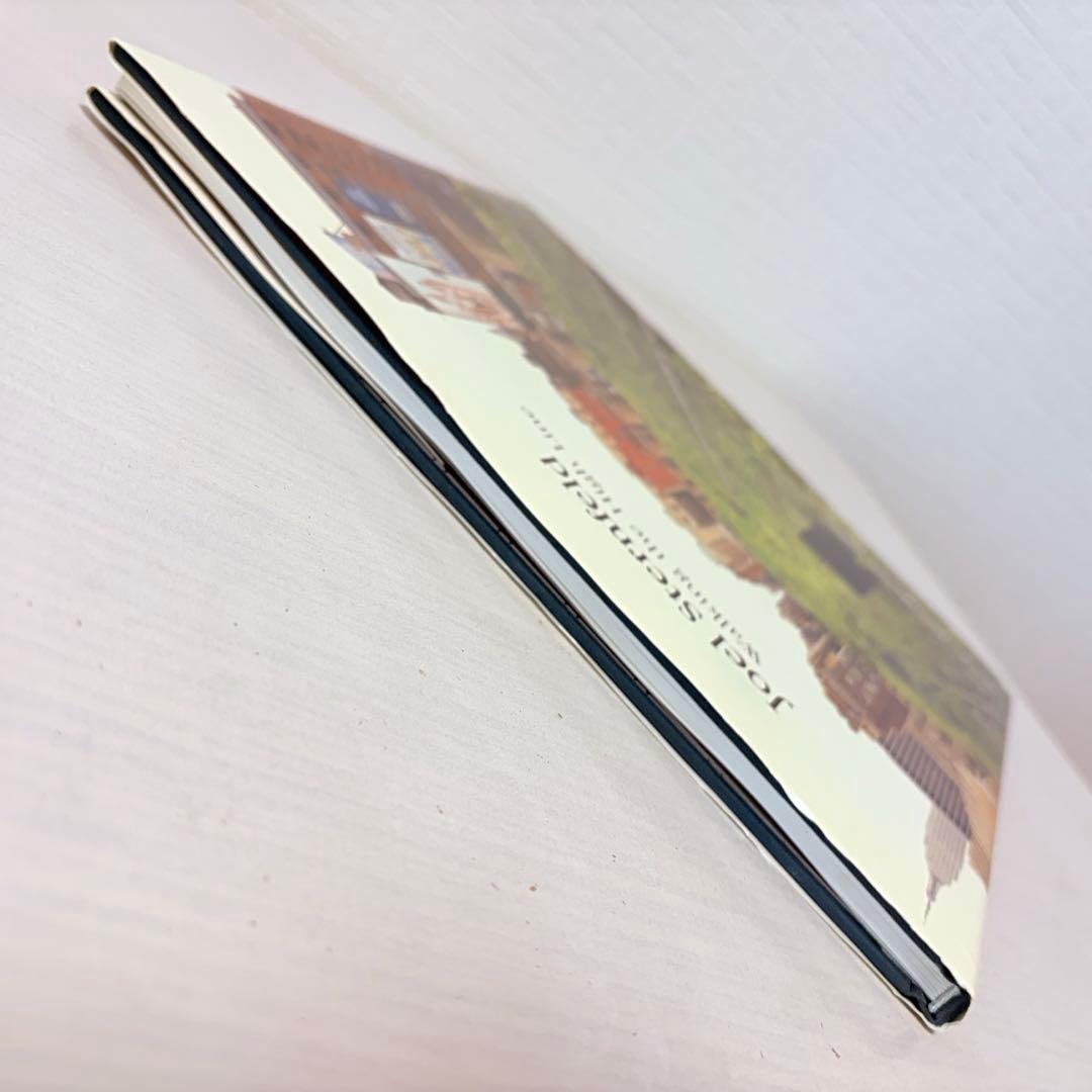 【洋書】Joel Sternfeld Walking the High Line