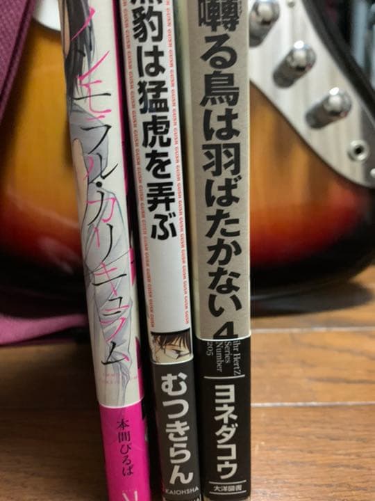 お値下げ可能！期間限定出品！BLコミック BL漫画 桜日梯子等