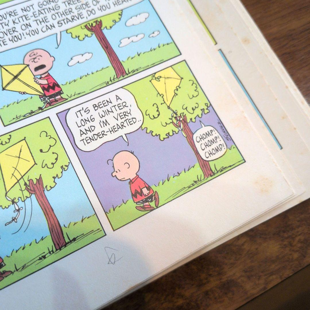 PEANUTS JUBILEE 古書