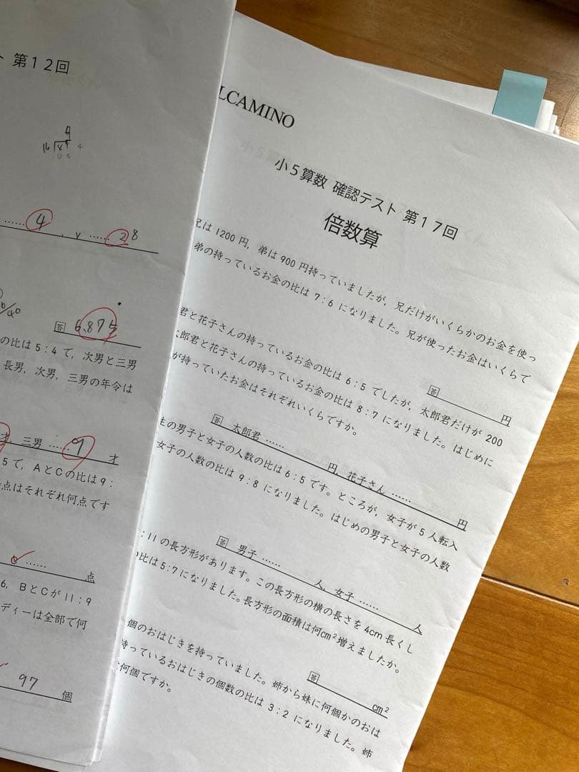 【中学受験】エルカミノ新小5算数1年分 全テキスト38冊+確認テスト30部