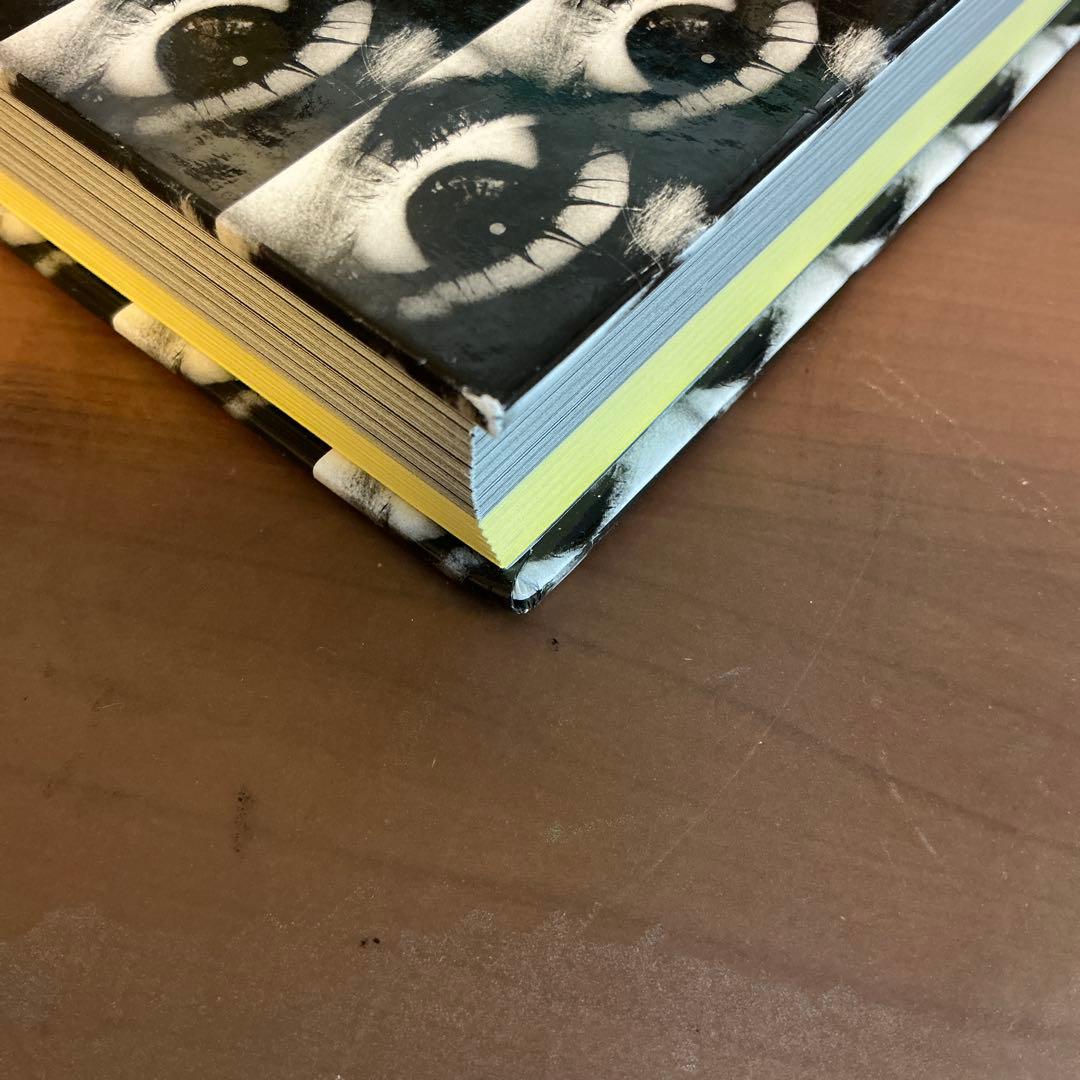 洋書 DAIDO MORIYAMA: A Retrospective