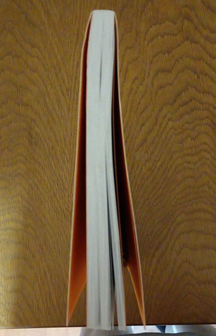 障害者の個別支援計画の考え方・書き方 : 社会福祉施設サービス論の構築と施設職…