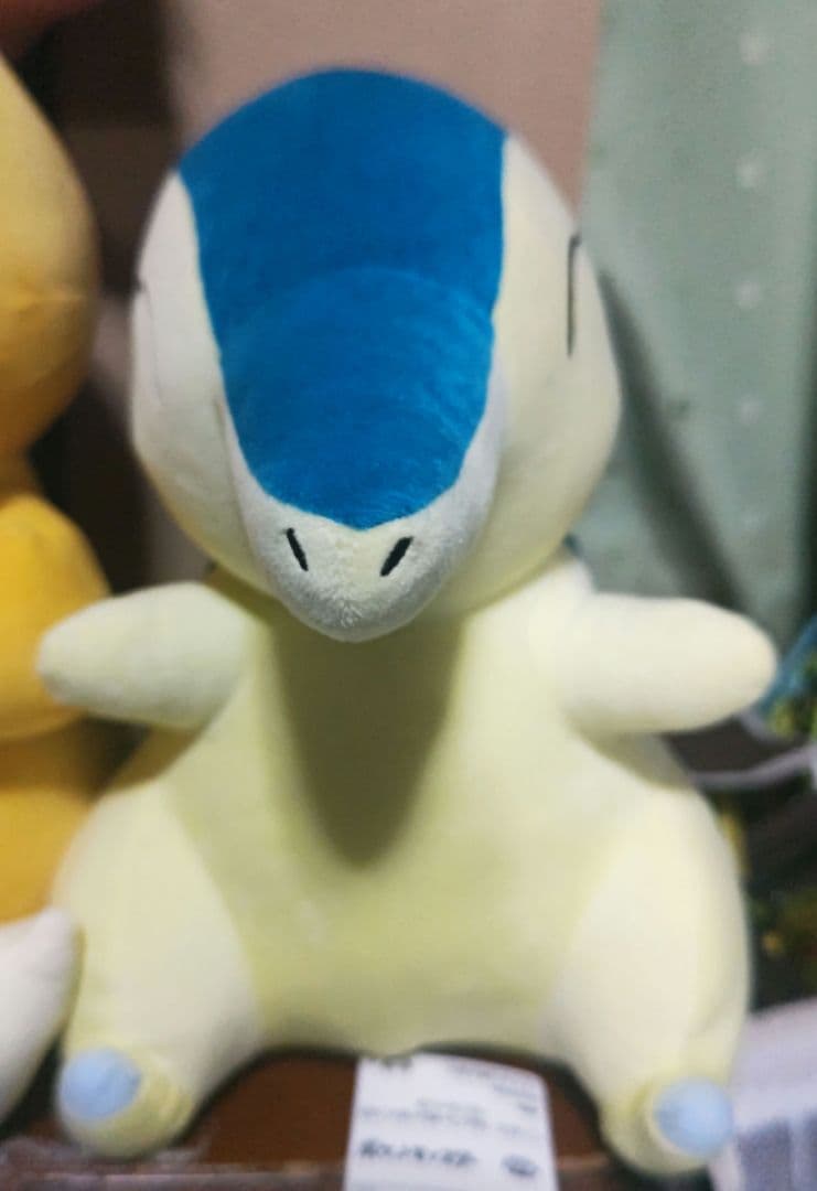 ポケットモンスター ぬいぐるみ 6種セット