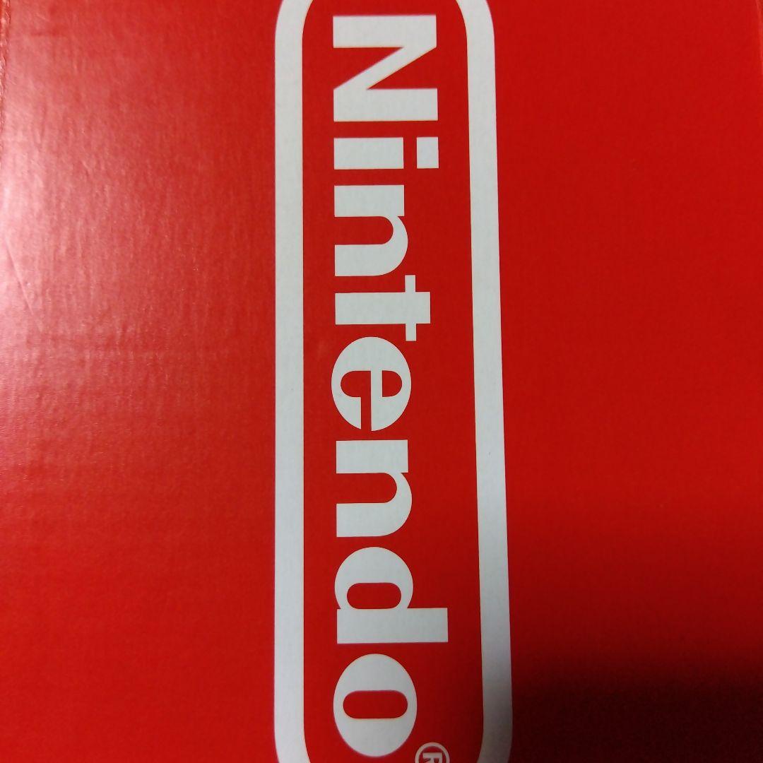 N.SWITCH LITE コーラル