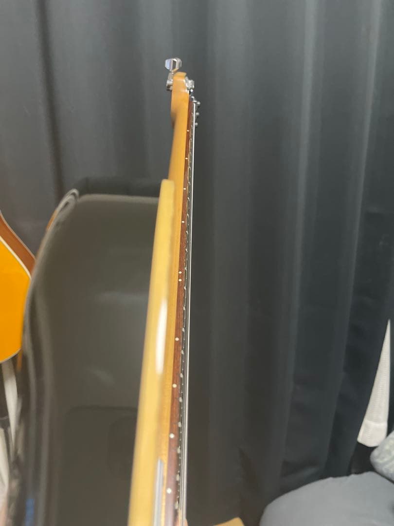 シェクター/schecter SD-2-24 限定モデル