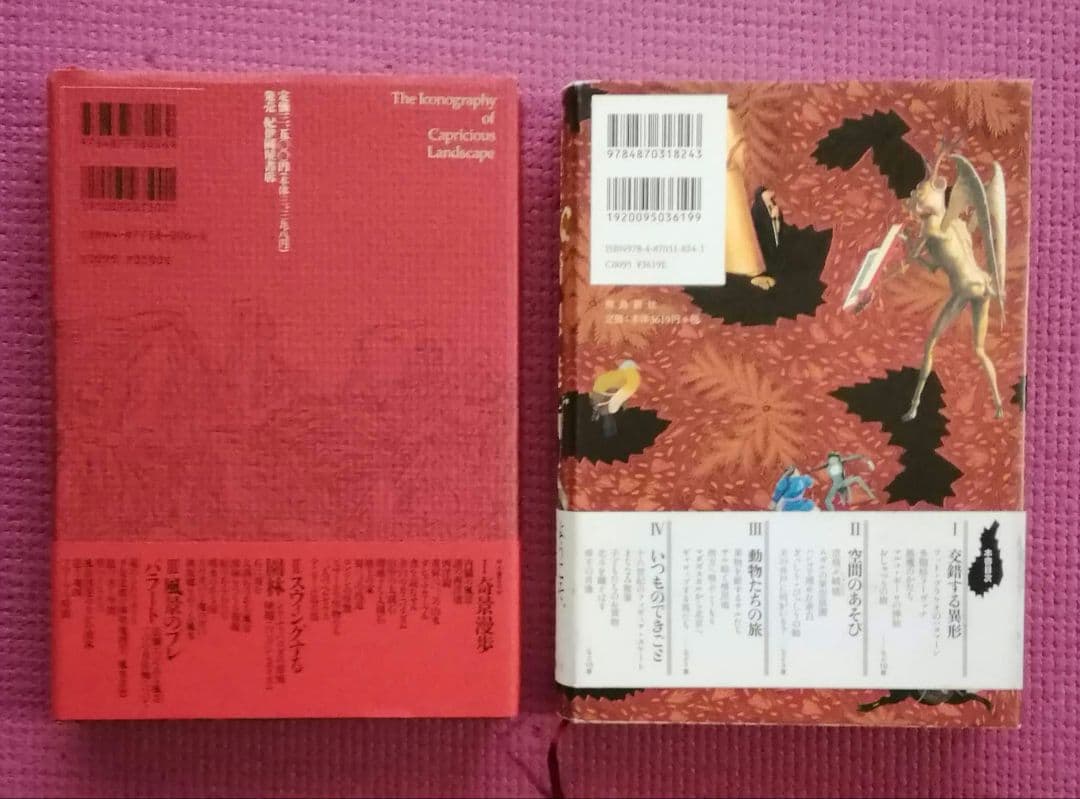 奇景の図像学　綺想迷画大全　中野美代子　人間の想像力　視る快楽　面白ヴィジュアル