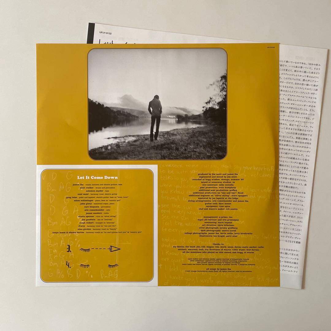 洋楽 James Iha Let It Come Down LP Vinyl