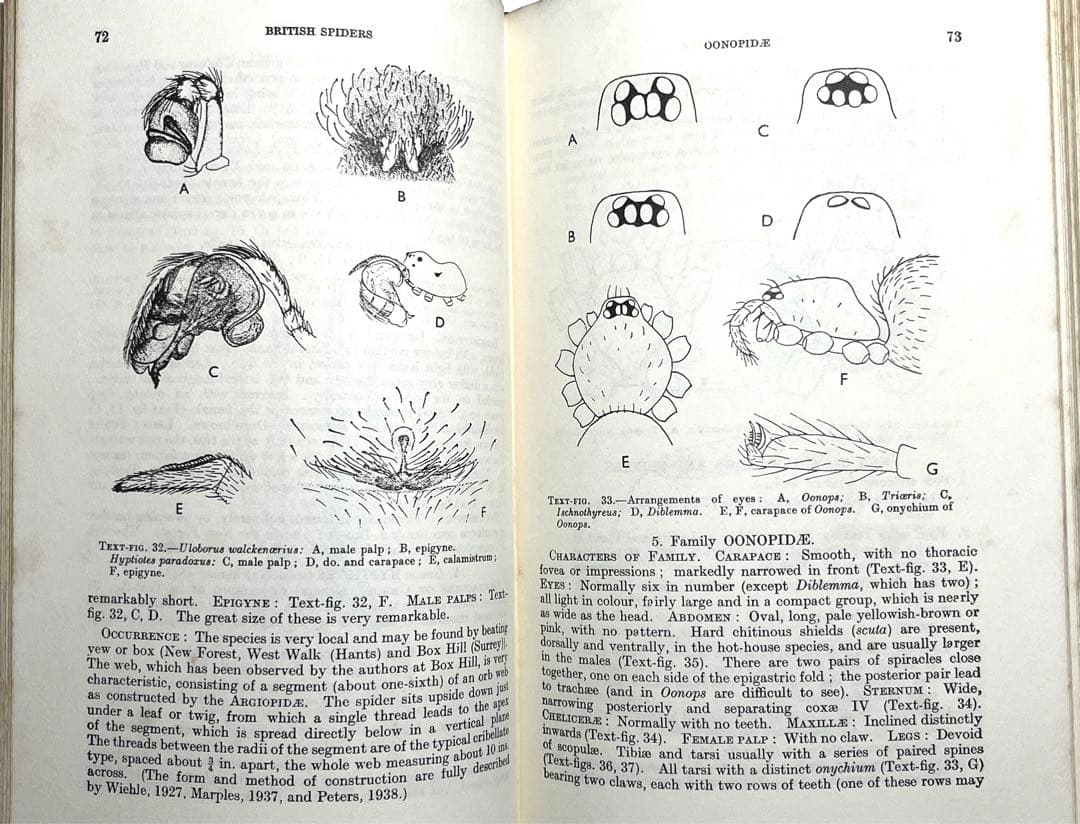 ⭕️新価格⭕️★BRITISH SPIDERS I・IIイギリスの蜘蛛図鑑