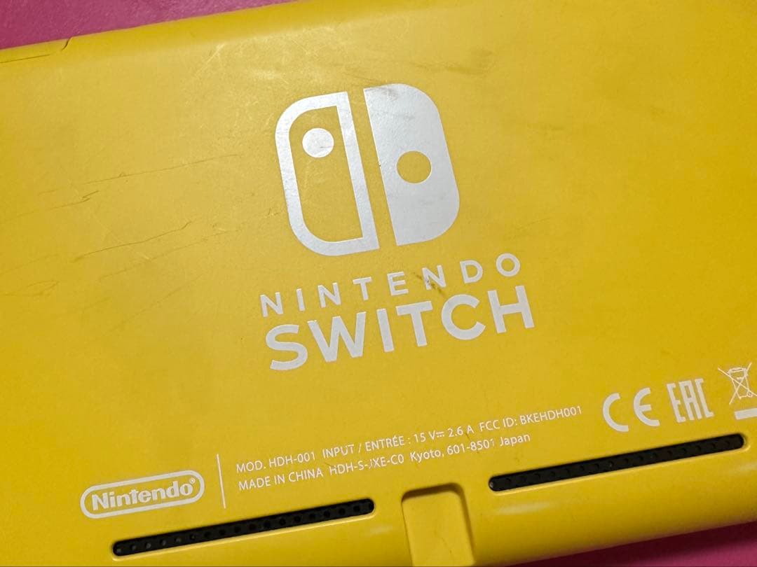 Nintendo switch lite スイッチ　ライト　本体　アダプター付