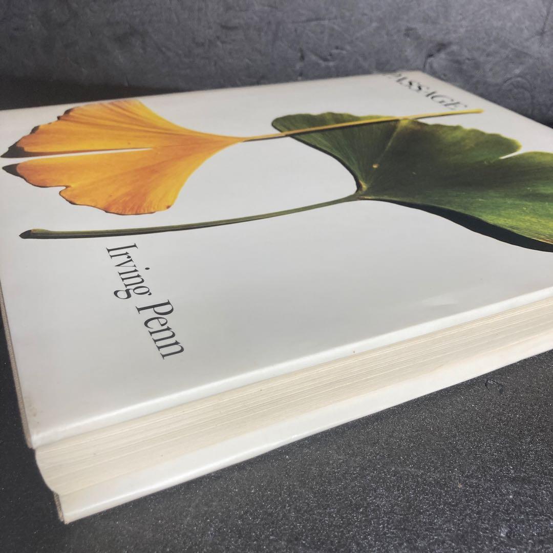 Irving Penn PASSAGEアーヴィングペン パッセージ1991年初版
