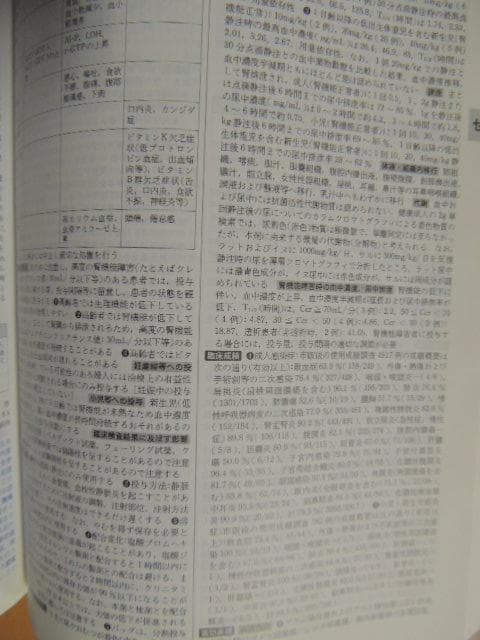 L3 日本医薬品集 医療薬 2009