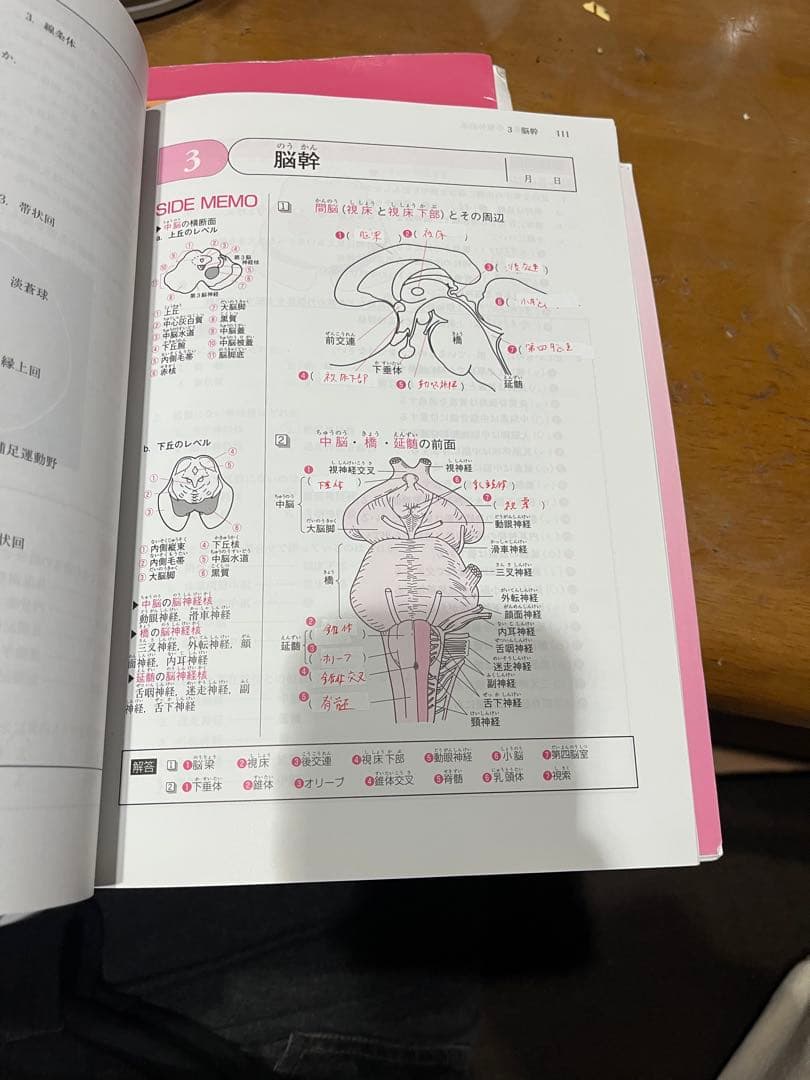 PTOT 運動医学ノート 2版 3版セット