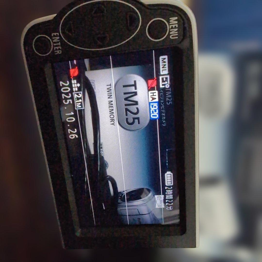 Panasonic TM25 ビデオカメラ シルバー