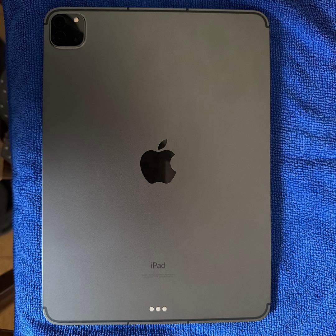 iPad Pro 11 第3世代 256GB Wifi Cellular 箱付き