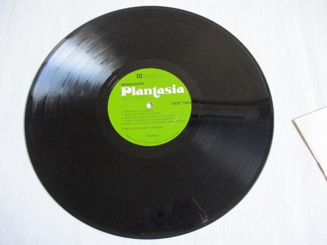 洋楽 Mort Garson Mother Earth's Plantasia