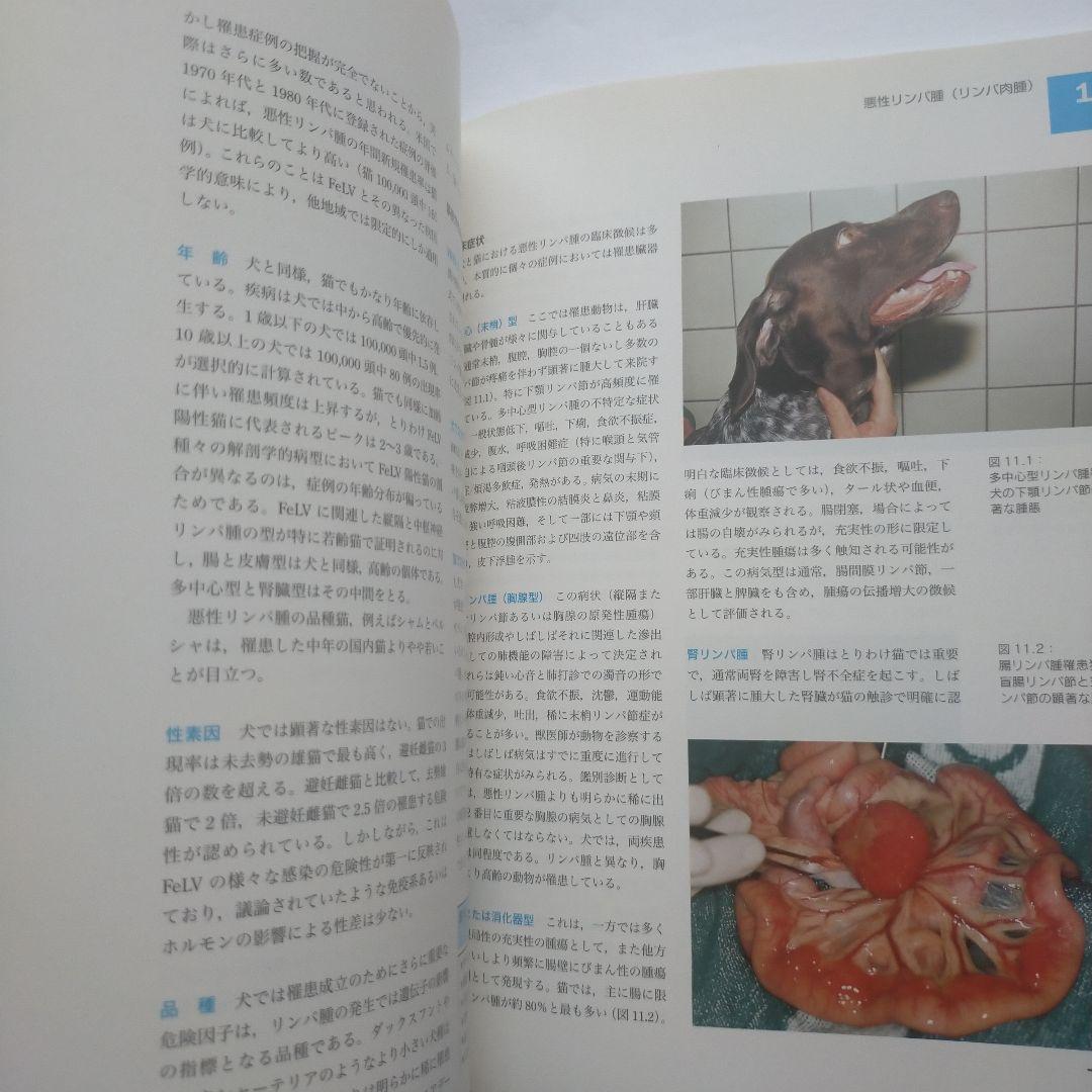 外L1231　図でみる犬と猫の実践血液学