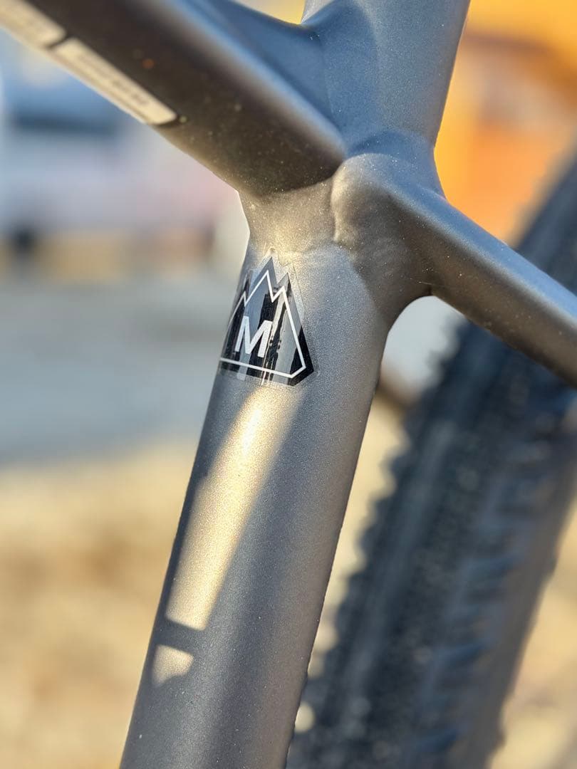 SPECIALIZED CHISEL 29er 2023カラー　M