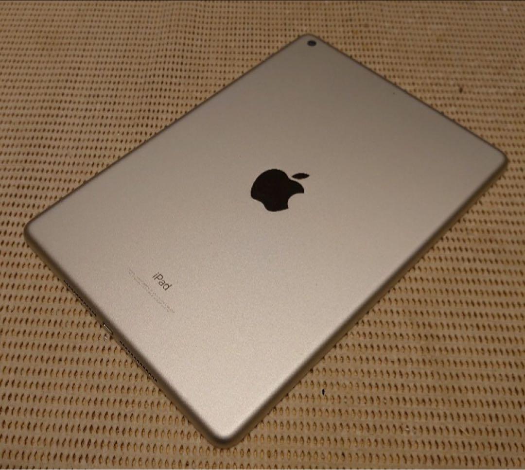 DMPX4完動品iPad第6世代(A1893)本体32GBシルバー送料込