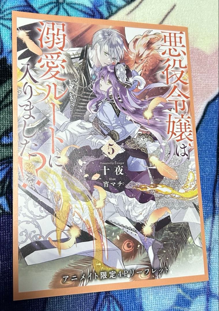 悪役令嬢は溺愛ルートに入りました⁉︎ アニメイト特典SSセット