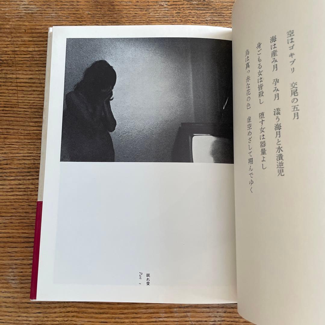 鳥刑　石黒健治 写真