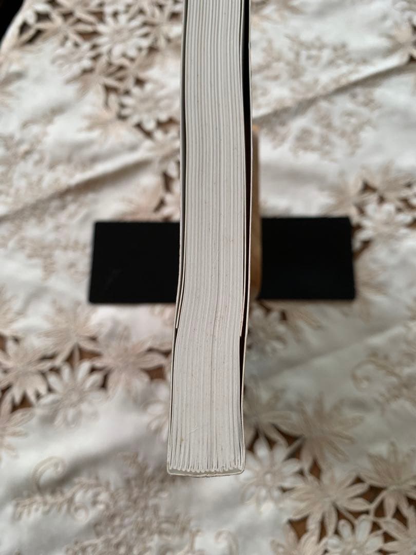 洋書 Carlo Scarpa L'architetto e le arti