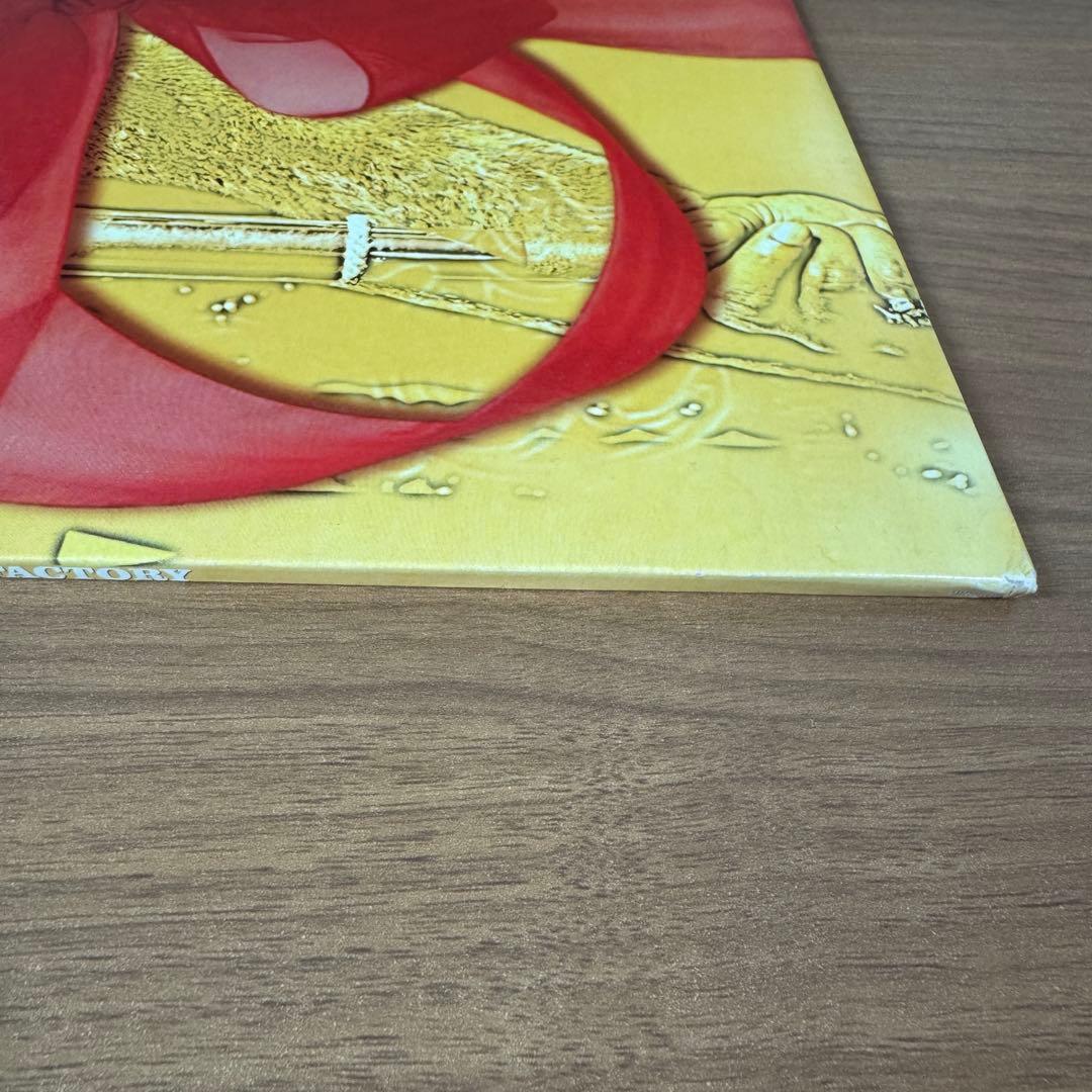 R.KELLY / CHOCOLATE FACTORY　LPレコード2枚組
