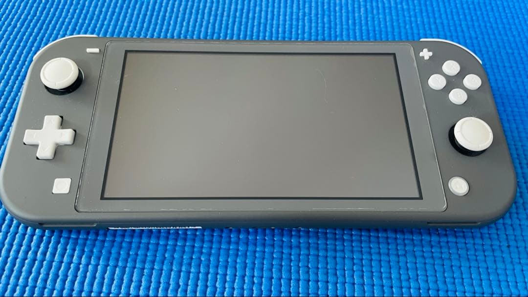Nintendo Switch Lite グレー　箱あり、ケース付き