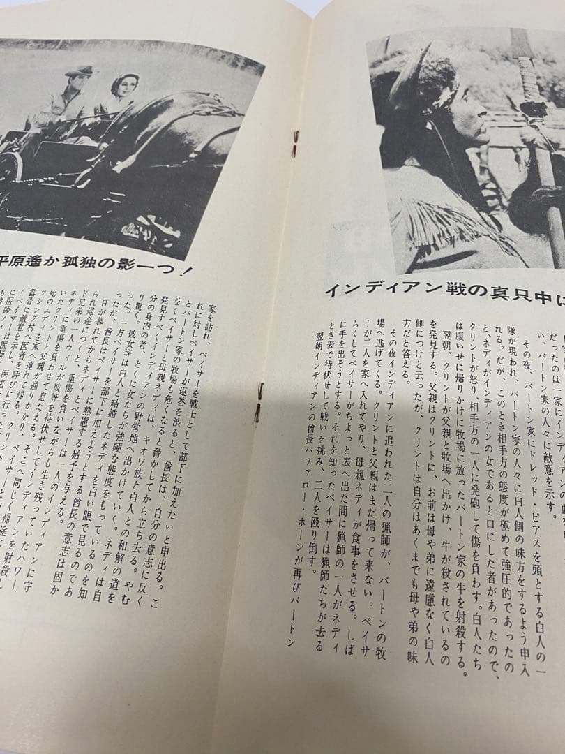★燃える平原児★映画パンフレットとチラシ★残念落書き有★エルビス・プレスリー