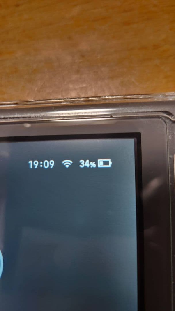 ジャンク　Switch Lite