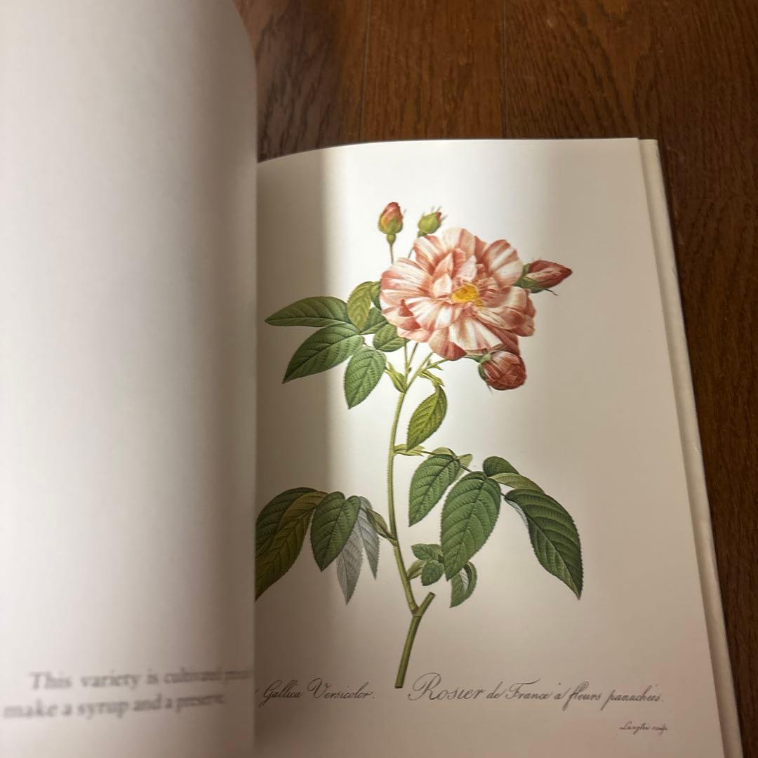 P.J. REDOUTÉ Roses アートブック