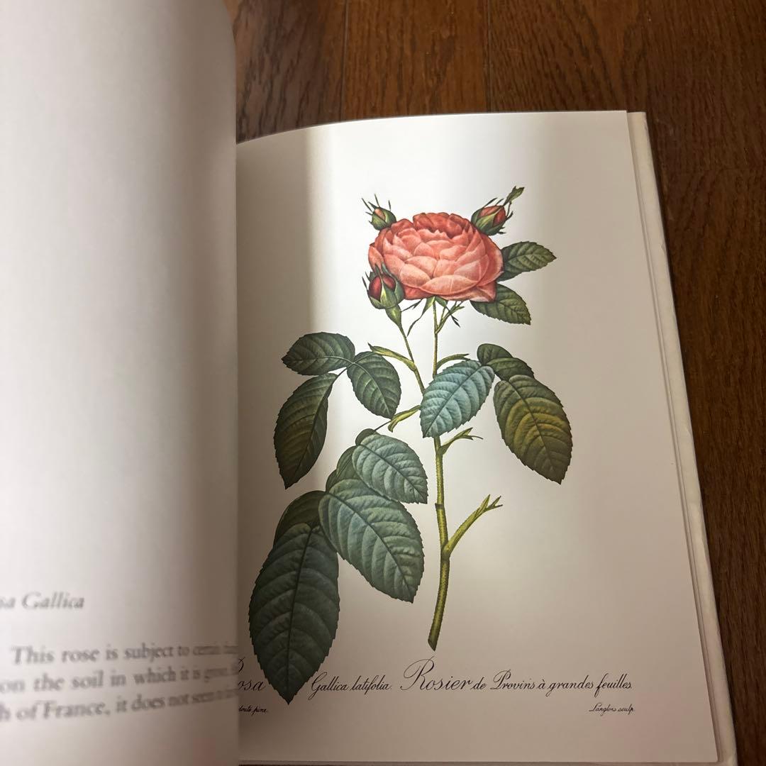 P.J. REDOUTÉ Roses アートブック