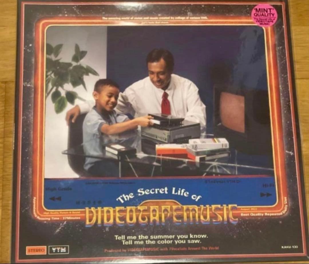 videotapemusic the secret life of レコード