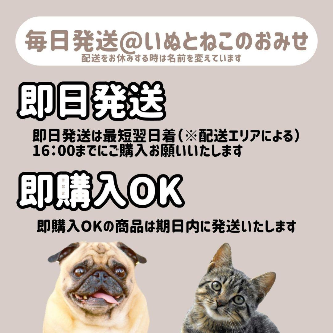 即日発送【15kg】セレクトバランス アダルトチキン 中粒ドッグフード