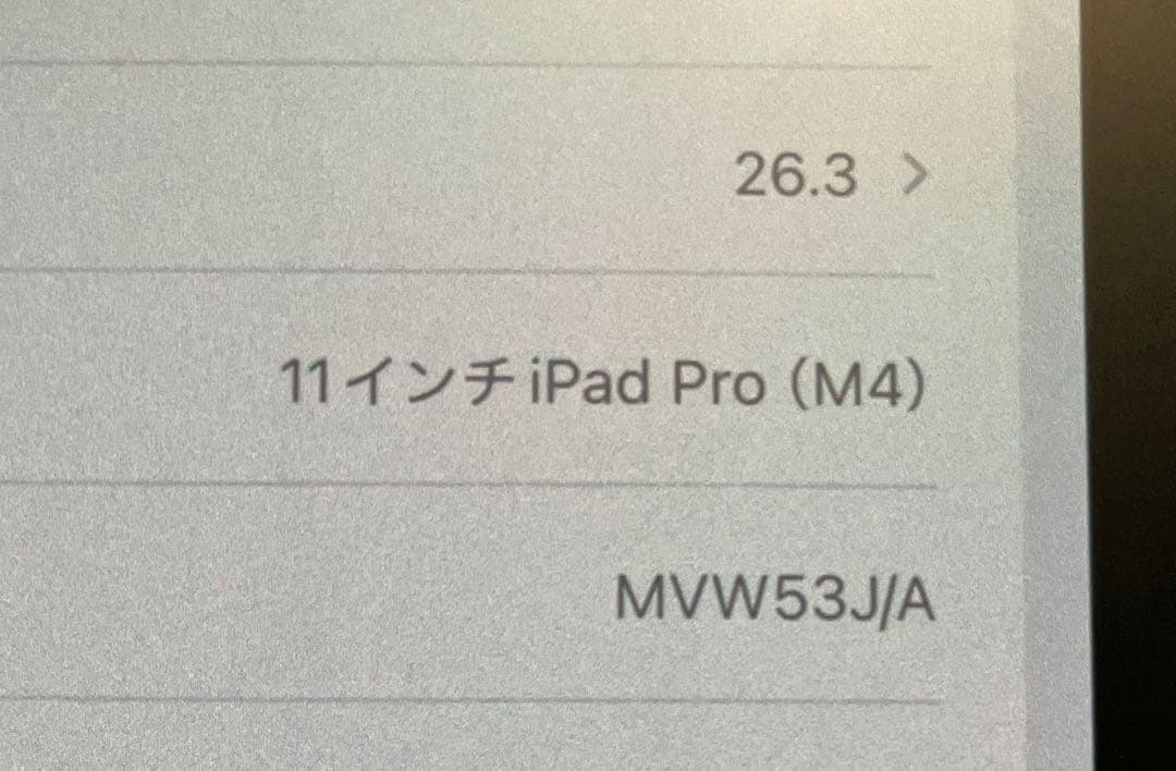 iPad本体 iPad Pro 11 インチ 1T M4 セルラーモデル