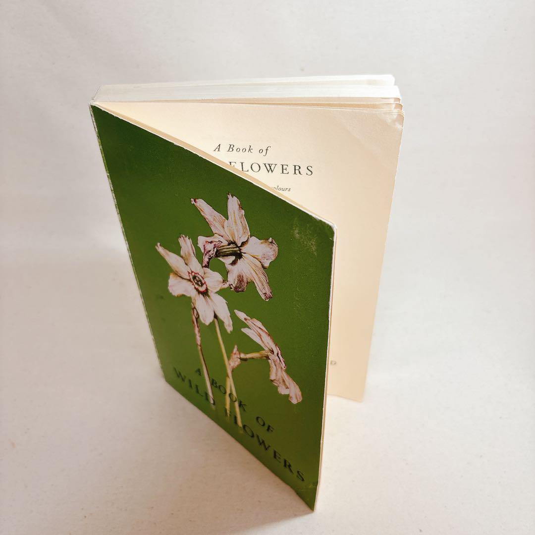 Elsa Flesko 美しい植物図鑑 160枚 植物画 ボタニカル