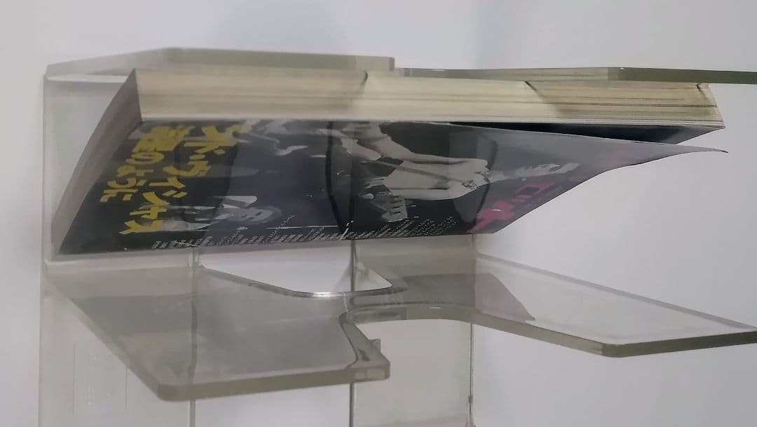 シド・ヴィシャス 流星のように　ロックジェット VOL.35