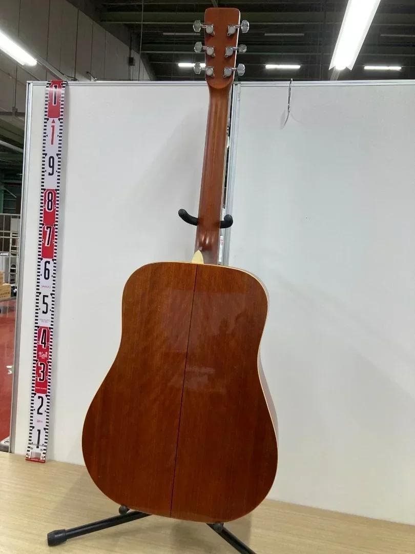 Morris アコースティックギター MD-507
