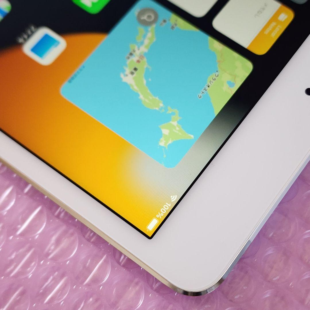 超美品　iPad mini 第4世代　バッテリー良好　64GB　SIMフリー