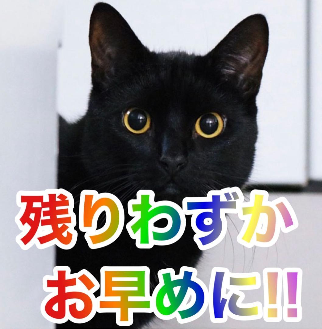 専用jpwjdag様　Ｓ押忍！番長ＺＥＲＯ操パネル　不要機ボリューム調整付