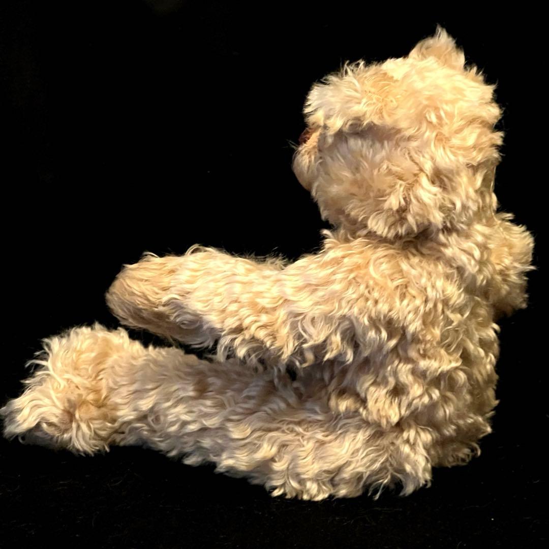[サエサ]テディベア　ぬいぐるみ　作家　日本　置物