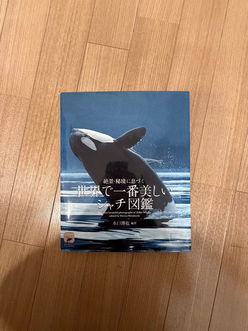 世界で一番美しいシャチ図鑑