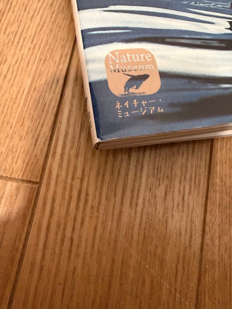 世界で一番美しいシャチ図鑑